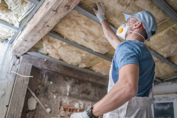 Best Insulation Maintenance and Repair in North Fort Lewis, WA